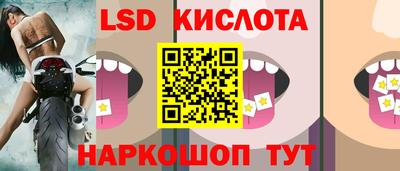 spice Кунгур