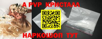 spice Кунгур