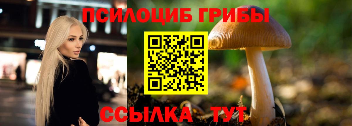 Галлюциногенные грибы Psilocybe Кинель